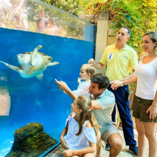 Palma Aquarium: Entrada gratuita + Cine Aquadome 3D opcional 31