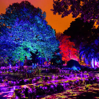 Naturaleza Encendida: Alicia en el País de las Maravillas - Lista de espera 6