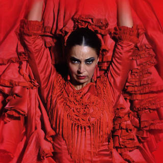 Teatro Flamenco Madrid: Vive la experiencia del Flamenco 1