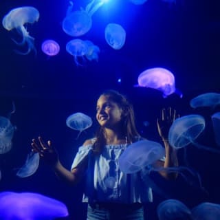 Palma Aquarium: Entrada gratuita + Cine Aquadome 3D opcional 75
