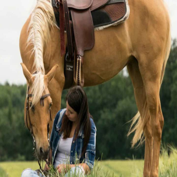 Madrid: experiencia a caballo por la Sierra de Guadarrama