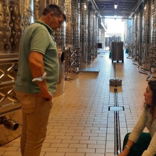 Mallorca: Visita guiada a Bodegas y Almazara + Catas + Traslado de ida y vuelta 12