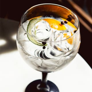 Degustación de gin tonics en Vinopremier 1