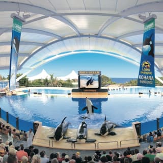 Loro Parque: Entrada 17
