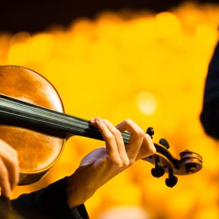 Candlelight: Las Cuatro Estaciones de Vivaldi 3