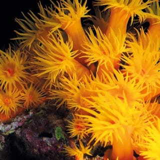 Palma Aquarium: Entrada gratuita + Cine Aquadome 3D opcional 73