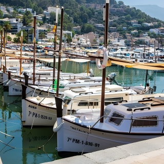 Mallorca in One Day Sightseeing Tour with Boat Ride and Vintage Train 13