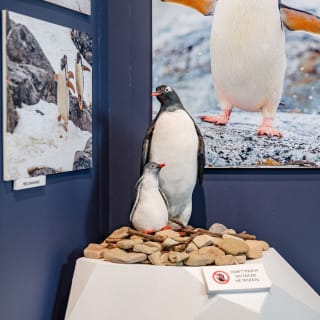 ANTARCTICA 360 - CG GALLERY | LLORET DE MAR 20