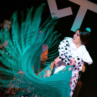 Espectáculo de Flamenco en directo 1