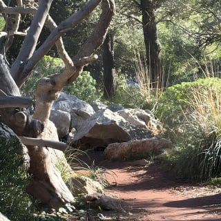 Valldemossa Tour and its Most Beautiful Viewpoints Easy Hike 24