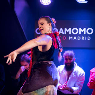 Tablao Flamenco Tablao Flamenco 1911- Show Flamenco 4