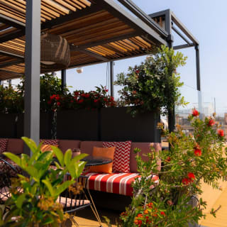 Brunch con barra libre de mimosas en la Terraza de Vivi 4