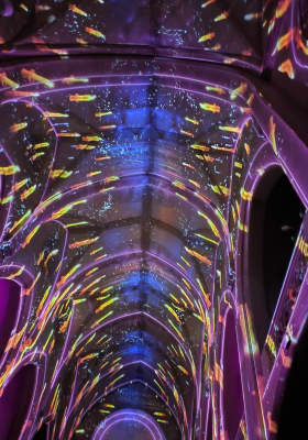 Photo 2 from Dominiques Barcelona