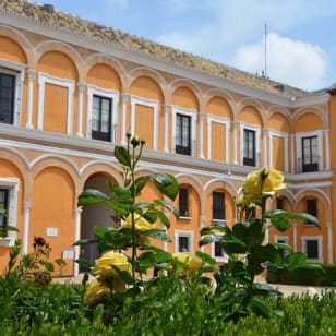 Real Alcázar de Sevilla: Entrada