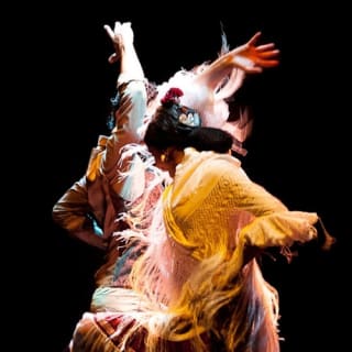 Museo del Baile Flamenco: Entrada + Puro Espectáculo Flamenco 1