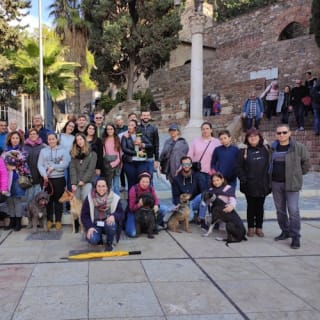 Museo Picasso Málaga: visita guiada 18