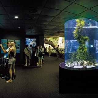 Loro Parque: Entrada 62
