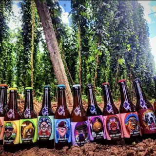 Curso de Elaboración de Cerveza 1