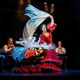 Teatro Flamenco Granada: Vive la experiencia del Flamenco 4