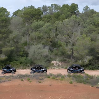 Buggy 2-seater and 4-seater Off-On Road Tour in Mallorca 5