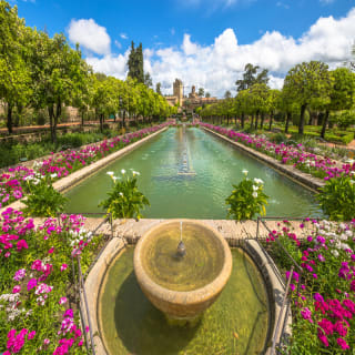 Acceso rápido al Alcázar de Sevilla – Visita guiada en inglés. 2