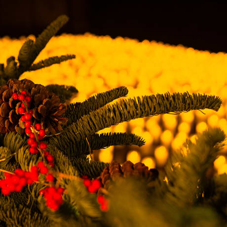 Foto 4 de Candlelight: Clásicos de Navidad