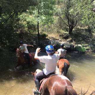 Ruta a caballo en un entorno único 4