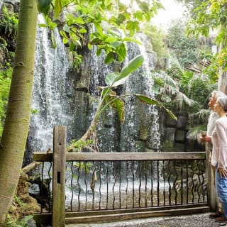 Palma Aquarium: Entrada gratuita + Cine Aquadome 3D opcional 17