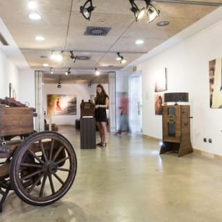 Museo del Baile Flamenco: Entrada + Puro Espectáculo Flamenco 20
