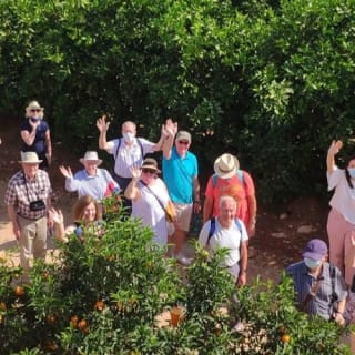Huerto Ribera: Visita guiada a un huerto de naranjos desde Valencia + degustación gastronómica 5
