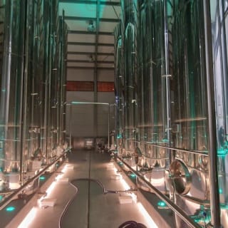 Mallorca: Visita guiada a Bodegas y Almazara + Catas + Traslado de ida y vuelta 10