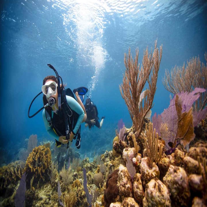 BARCELONA: BAUTIZO DE BUCEO - Sumérgete y vive la experiencia bajo el agua - 2h