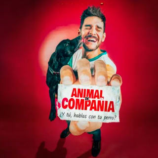 Animal de Compañía 1