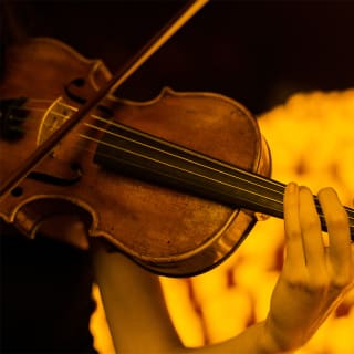 Candlelight: Las Cuatro Estaciones de Vivaldi 3