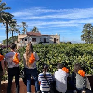 Huerto Ribera: Visita guiada a un huerto de naranjos desde Valencia + degustación gastronómica 3