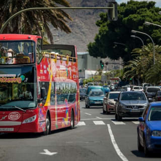 Santa Cruz de Tenerife: Excursión en bus turístico Hop-on Hop-off de 24 ó 48 horas 5