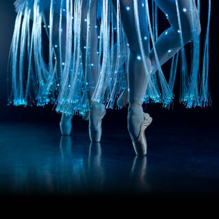 Ballet of Lights - Tarjeta Regalo 5