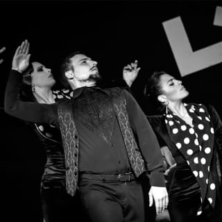 Espectáculo de Flamenco en directo 3