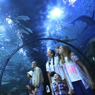 Loro Parque: Entrada 18