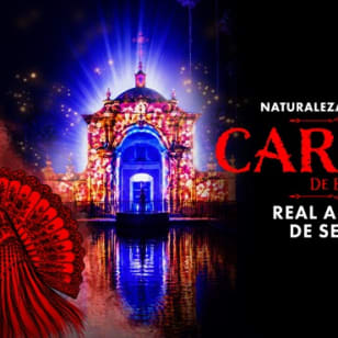 Naturaleza Encendida Premium: Carmen de Bizet - Un recorrido lumínico e inmersivo