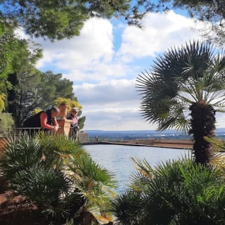 Mallorca: Valle de los Naranjos y Valldemossa Visita Guiada + Traslados 3
