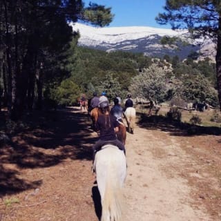 Experiencia a caballo: clases en plena naturaleza 1