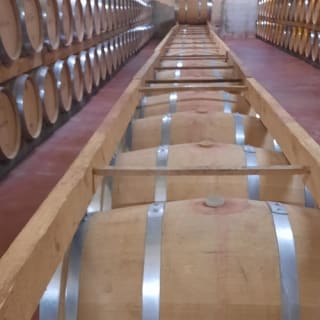 Mallorca: Visita guiada a Bodegas y Almazara + Catas + Traslado de ida y vuelta 20
