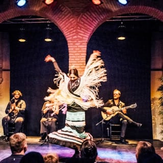 Museo del Baile Flamenco: Solo el espectáculo 4