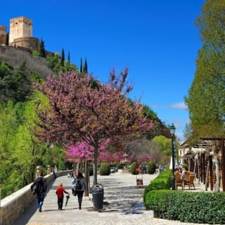 Catedral de Granada, Capilla Real, Albaicín y Sacromonte: Visita guiada 7