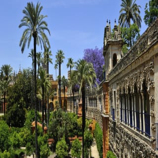 Acceso rápido al Alcázar de Sevilla – Visita guiada en inglés. 3